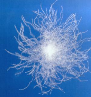 Polštář LeRoy® 15/85 Peří Natur Line Klasik 1200g 70x90cm