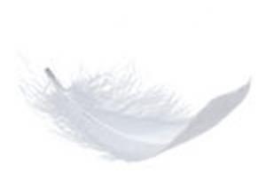 Polštář LeRoy® 15/85 Peří Natur Line Klasik 1200g 70x90cm