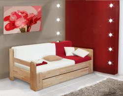Postel Vykona DUO KOMFORT masiv buk cink